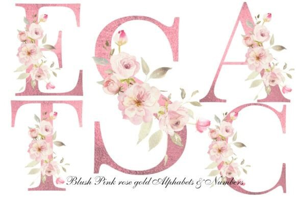 Download Blush Pink Rose Floral Alphabet Clipart - Blush pink Collection