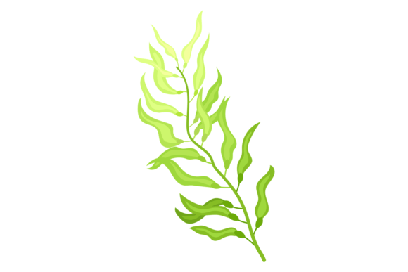 Download Green Algae Cartoon Icon. Aquatic Nature - Aquatic Collection