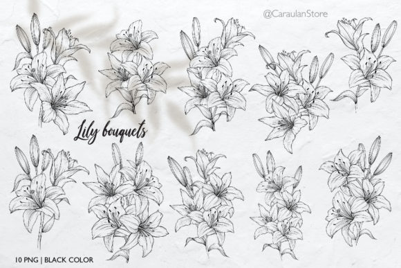 Download Lilies Line Art, Lily Bouquets PNG - Bouquets Collection